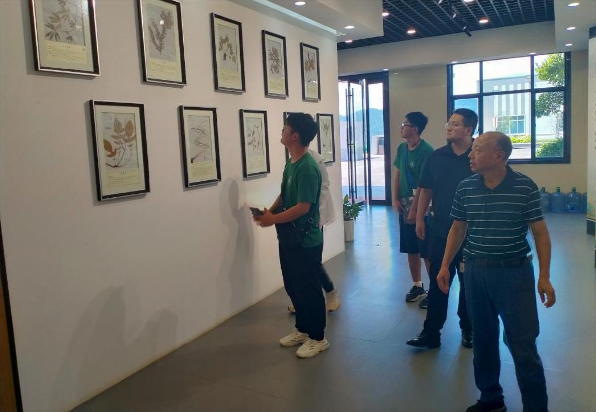 何经理引导团队成员参观欣中医药标本展厅（365英国上市公司 供图）(1)